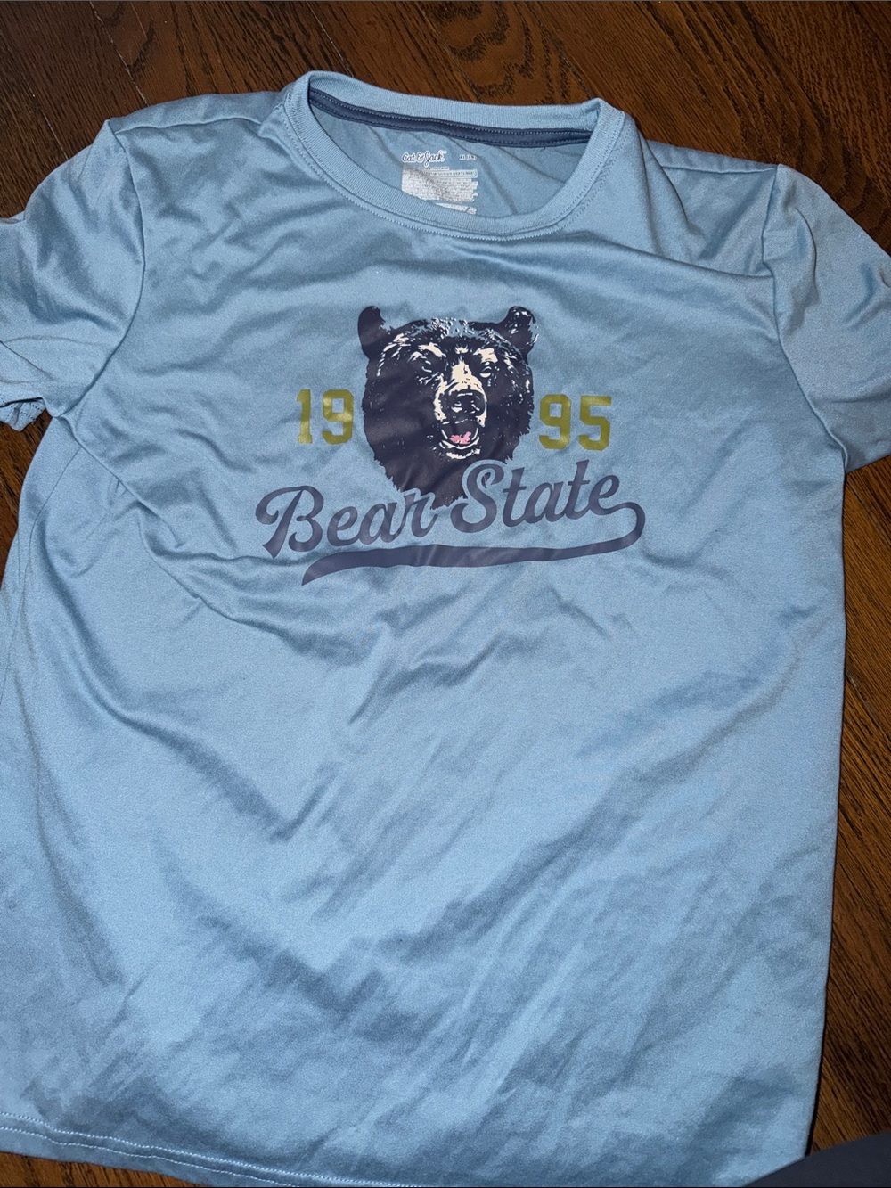 Light Blue 'Bear State' Graphic Tee cat and jack. Never worn